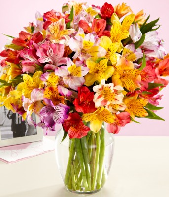 100 Blooms of Get Well Wishes