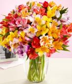 100 Blooms of Get Well Wishes
