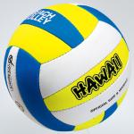 Beach volley ball